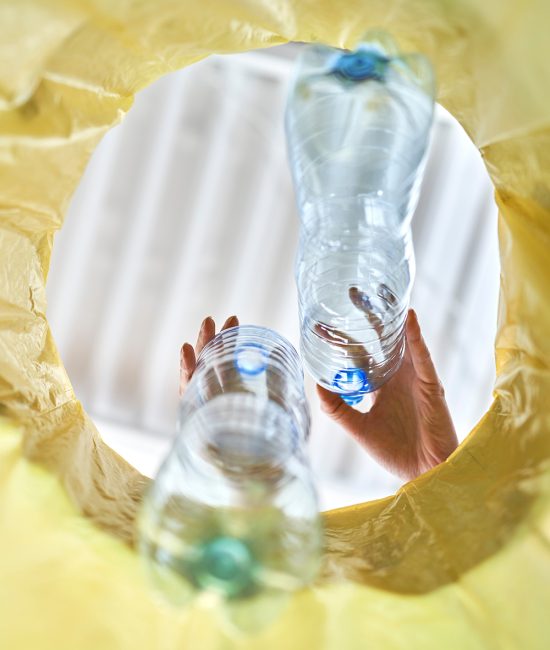 RDG Recyclingmythen im Check - Beitragsbild